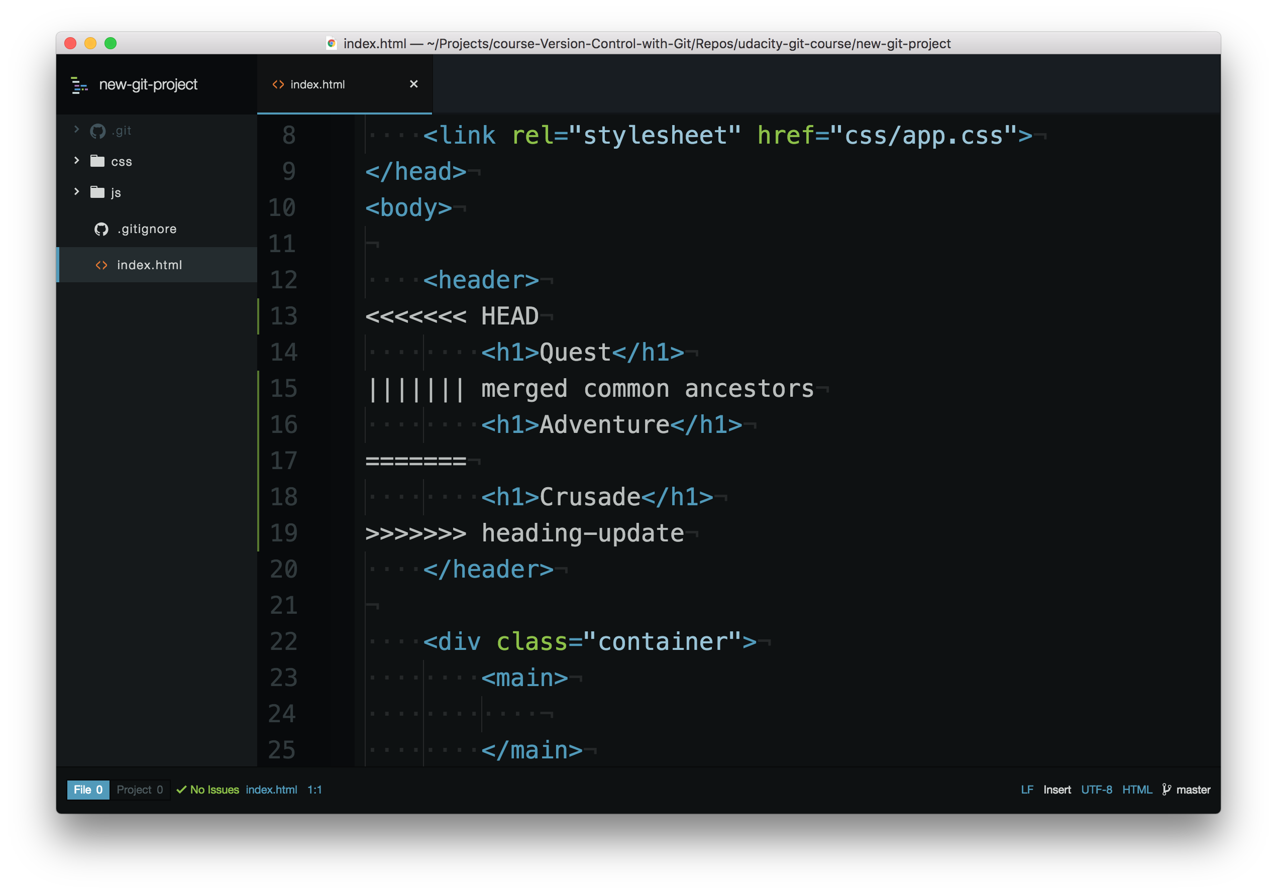 _Code editor showing the merge conflict indicators._